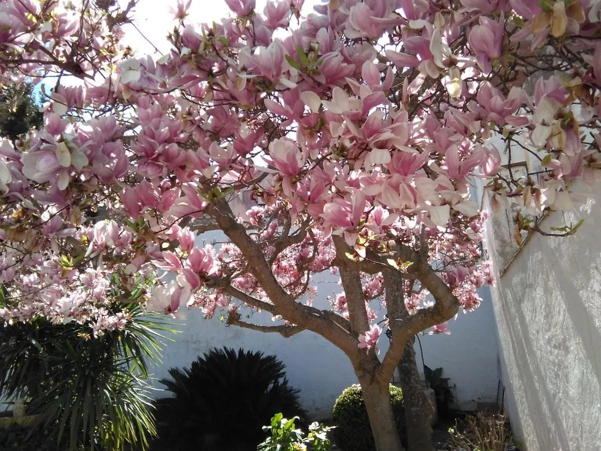 Family Homefromhomees Sant Feliu de Guixols Holiday home